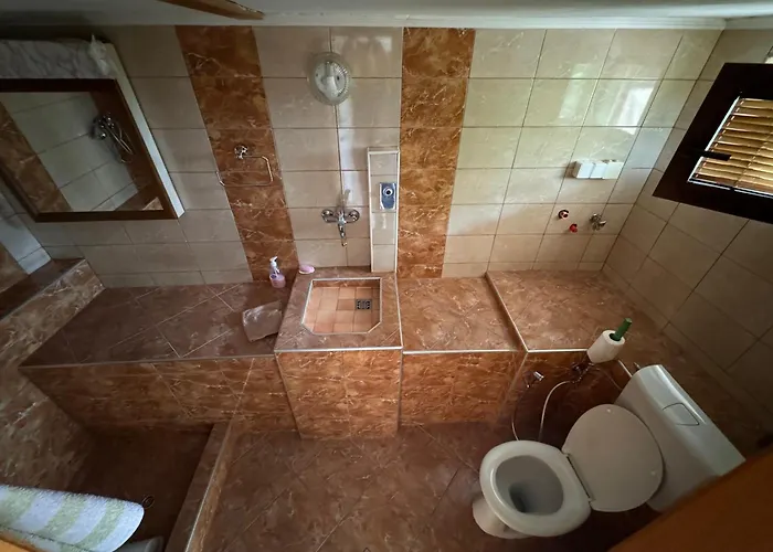 Sarajevo Ruza Vjetrova Ilidža